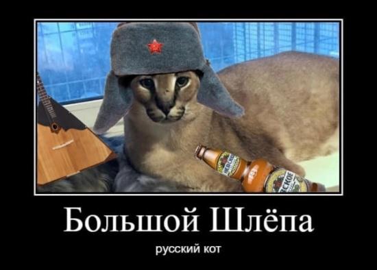 Большой Шлепа Русский кот - мем порода каракал рысь пельмени арбуз0