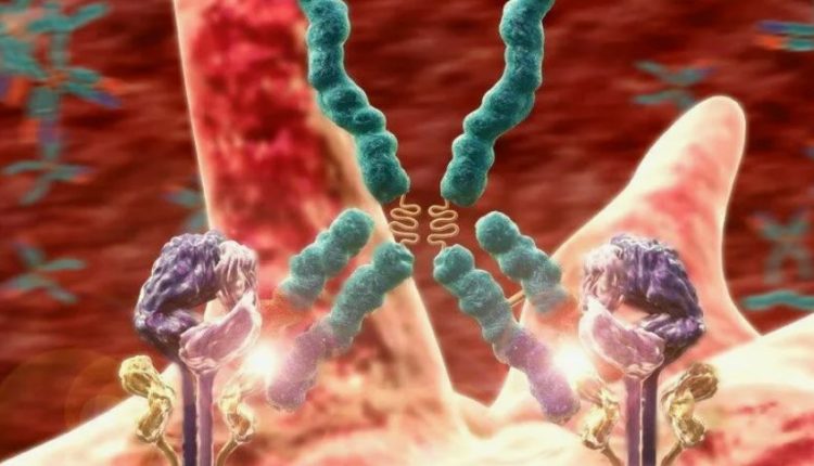 Аутоиммунные заболевания связали с древними генами