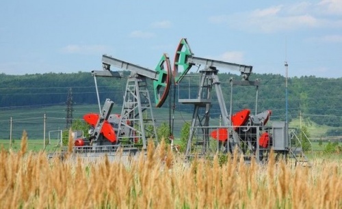 Форма и правила инвестсоглашений для нефтяников1