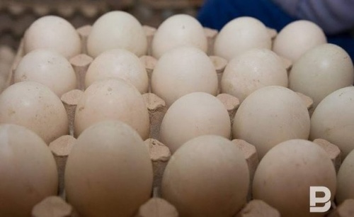 Ритейлеры готовы повысить цены на яйца и мясо птицы1