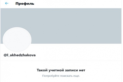 «Twitter этот проклятый убирать надо» – интернет-тролли от имени Ахеджаковой публикуют экстремистский контент1