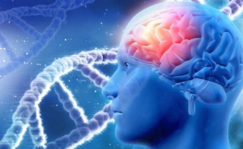 Ученые из России нашли новый аппарат помогающий при Альцгеймере1