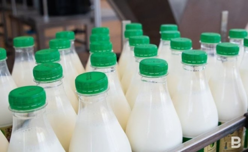 Произведено более 227 тыс. тонн молока в Татарстане 1