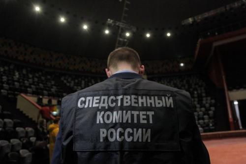 Прокуратура и СК проверяют Казанский цирк после драки слонов25