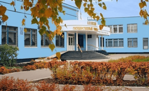 В 2020 году челнинцы направили омбудсмену 51 обращение 1