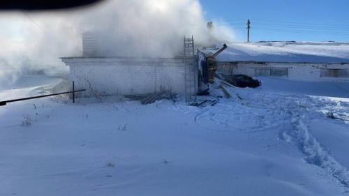 В Татарстане произошел пожар на ферме: во время эвакуации рожала корова1