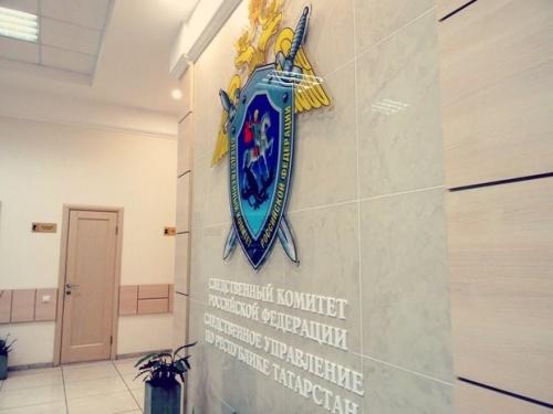 В Татарстане возбудили уголовное дело за нападение на соцработницу 1