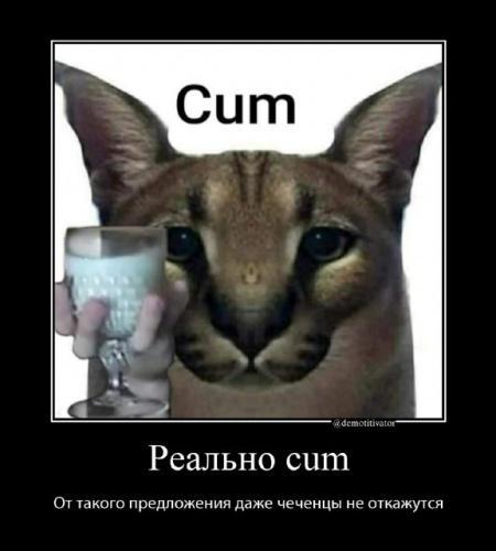 Большой Шлепа Русский кот - мем порода каракал рысь пельмени арбуз8