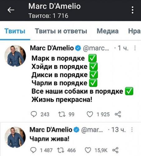 что случилось с чарли домелио. chto sluchilos s charli damelio 12 marta 2021 umerla avarija 5edf8f9. что случилось с чарли домелио фото. что случилось с чарли домелио-chto sluchilos s charli damelio 12 marta 2021 umerla avarija 5edf8f9. картинка что случилось с чарли домелио. картинка chto sluchilos s charli damelio 12 marta 2021 umerla avarija 5edf8f9.