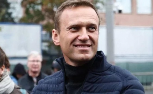 Москалькова рассказала, что получила результаты обследования Навального1