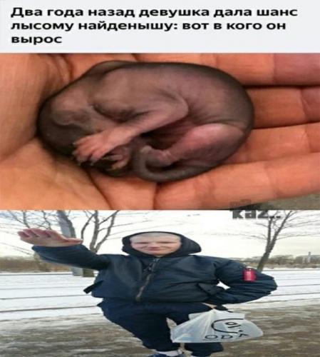 Наташа Данилова Сынуля Аболтус - мем зига оригинал4