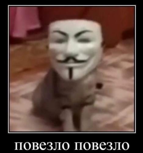 спид ран по майнкрафту мем текст. o povezlo povezlo mem otkuda anonimus s kotom majnkraft 1c8af44. спид ран по майнкрафту мем текст фото. спид ран по майнкрафту мем текст-o povezlo povezlo mem otkuda anonimus s kotom majnkraft 1c8af44. картинка спид ран по майнкрафту мем текст. картинка o povezlo povezlo mem otkuda anonimus s kotom majnkraft 1c8af44. Повезло повезло (Спидран по майнкрафту) – мем с парнем в маске Анонимуса и надписью “Оо повезло повезло”. Также в шаблонах используются картинки с кошкой в маске.