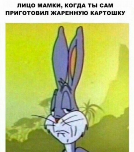 тик ток на русском