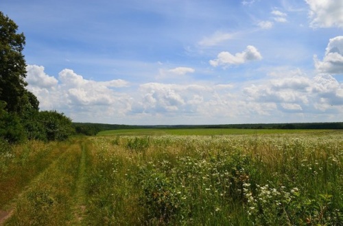 В Татарстане на 26% вырос спрос на покупку земельных участков1