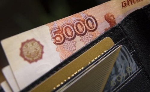 Жители России назвали уровень дохода для достойной жизни1