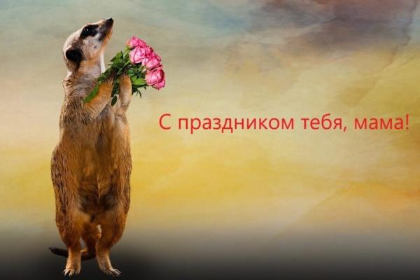 День матери 2021 – лучшие поздравления маме4