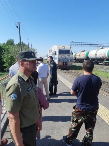 Экологи провели рейды вдоль железнодорожных путей в Татарстане1