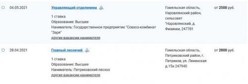 ТОП-зарплаты Беларуси. Такие деньги сегодня платят в Гомельской области1