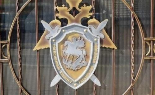 В Татарстане расследуются уголовные дела по факту падения ворот на детей1