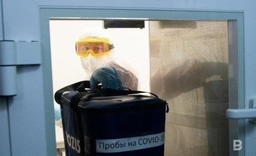 В Татарстане выявили 33 новых случая COVID-19 1
