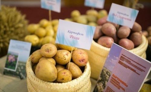Эксперты объяснили, почему в Казани подорожали яйца и картофель1
