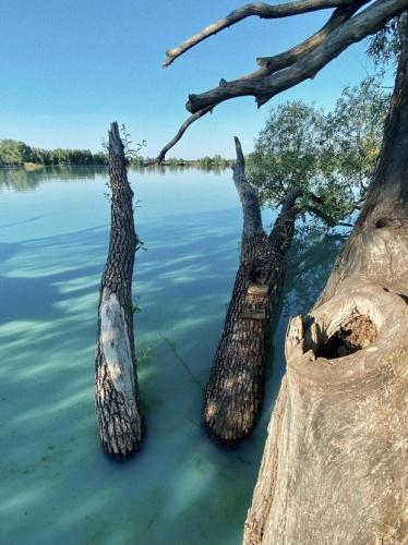 Позеленевшее Архиерейское озеро в Татарстане приобрело нормальный цвет1
