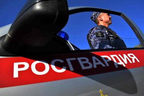 Росгвардия задержали мужчину, пытавшегося похитить чужое авто1