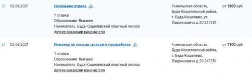 Зарплата белорусской провинции. Столько – в Буда-Кошелево3