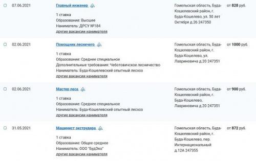 Зарплата белорусской провинции. Столько – в Буда-Кошелево2
