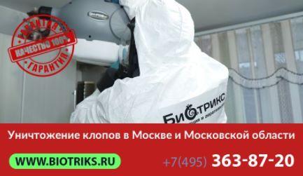 Уничтожение клопов в Московской области эффективной отравой – быстро и надежно