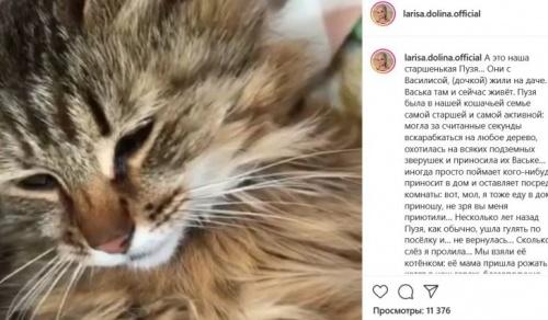 «Не могу сдержать слез»: Лариса Долина рассказала о личном горе1