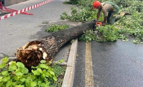 Ветер упал точно