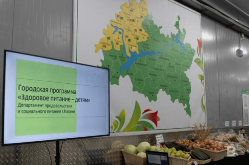 В Казани объявили тендер организацию питания школьников1