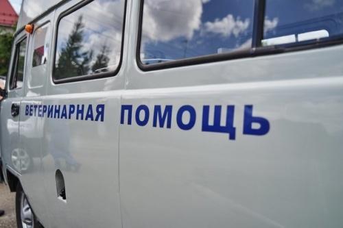 В Казани продолжает работу мобильный пункт бесплатной вакцинации собак1