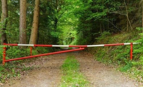 В Татарстане на 21 день ввели ограничения на посещение лесов 1