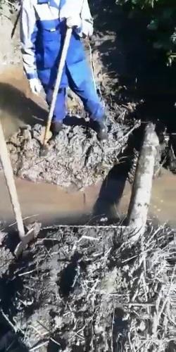 В Татарстане садоводы начали разрушать плотины бобров из-за отсутствия воды1