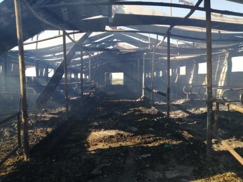 В Высокогорском районе Татарстана на животноводческой ферме сгорело здание1
