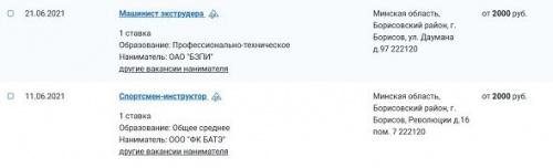 Зарплаты Беларуси. До 2 000 рублей – в Борисове 3