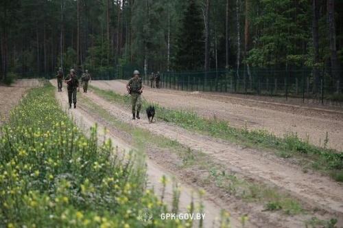 Ликвидация вооруженного формирования. Госпогранкомитет Беларуси о ситуации на границе с ЕС1