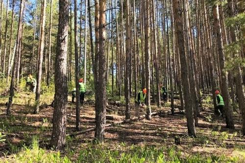 Наблюдения за лесом Татарстана из космоса обойдутся в 3 миллиона рублей1