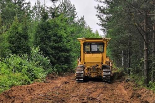Наблюдения за лесом Татарстана из космоса обойдутся в 3 миллиона рублей2