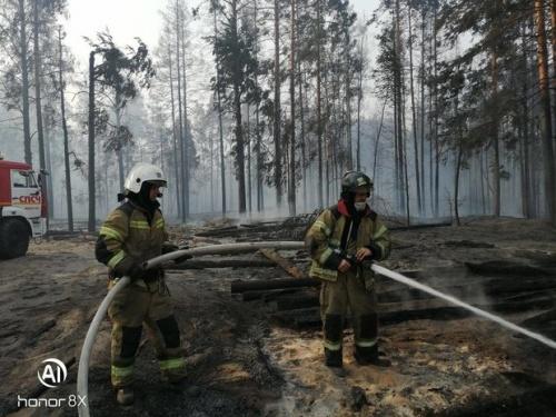 Площадь активного горения леса в Марий Эл ﻿увеличилась до 66,5 га1