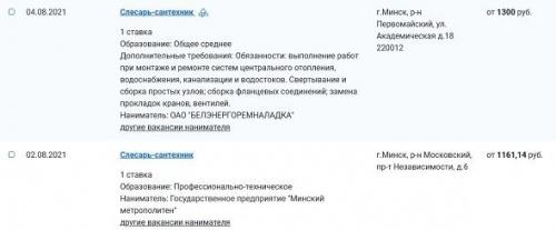Самые востребованные работники Беларуси. Сантехники: специфика и зарплаты 3