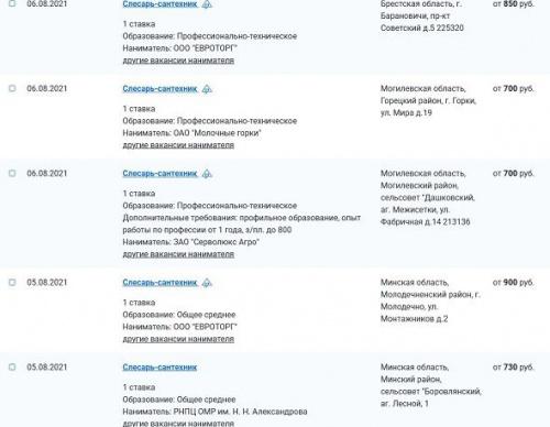 Самые востребованные работники Беларуси. Сантехники: специфика и зарплаты 2