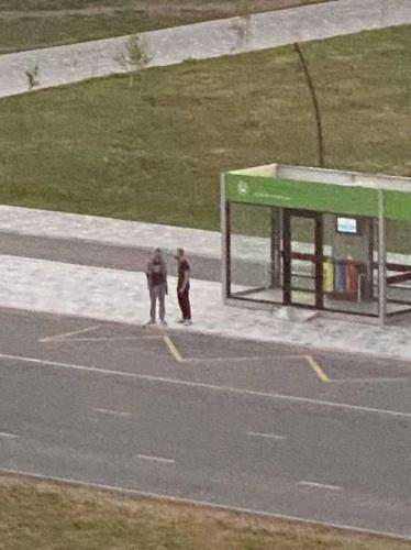 В Нижнекамске неизвестные разгромили новую автобусную остановку1