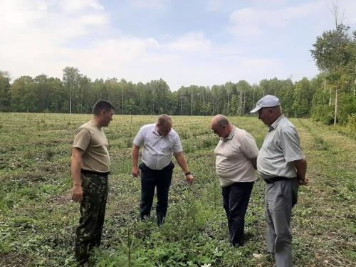 Высокая пожароопасность еще несколько недель сохранится на Юго-Востоке РТ5