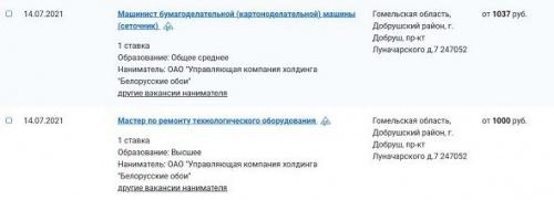 Зарплаты Беларуси. Столько зарабатывают в Добруше 3