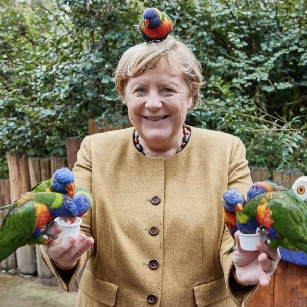 На Меркель напал попугай во время посещения птичьего парка1