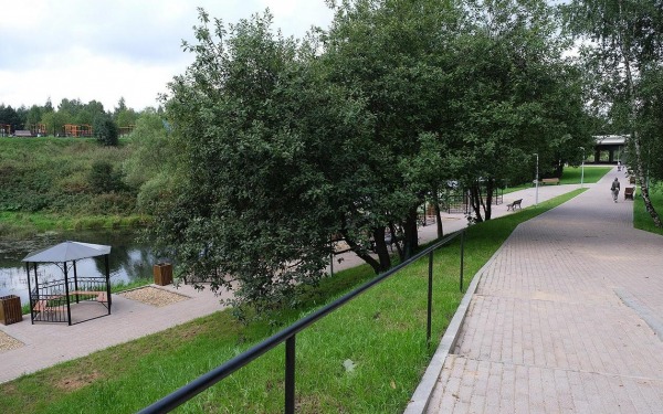 Собянин рассказал о создании комфортной городской среды в Зеленограде2
