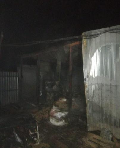 В Татарстане загорелась будка с инвентарем в приюте для собак1